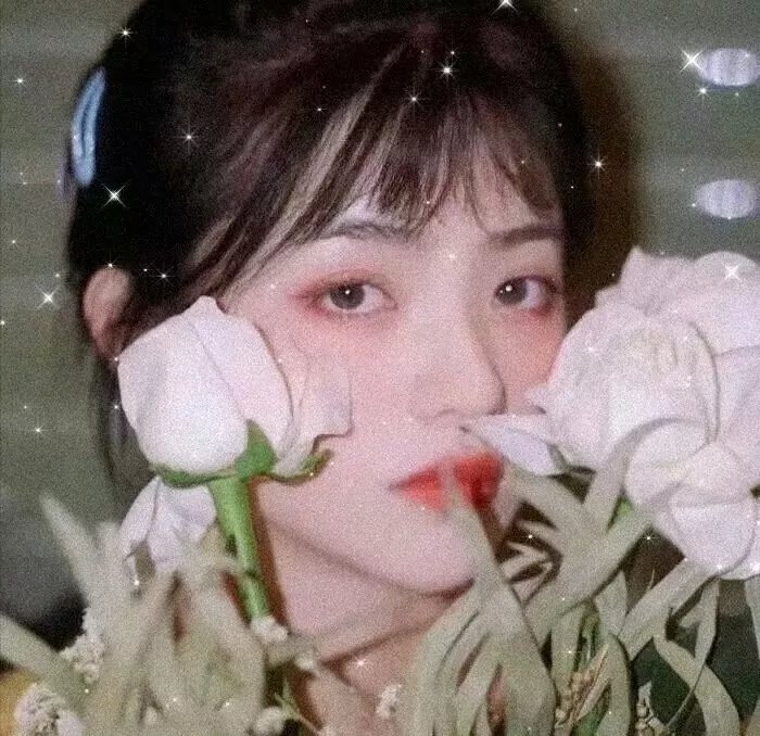 麒麟之翼